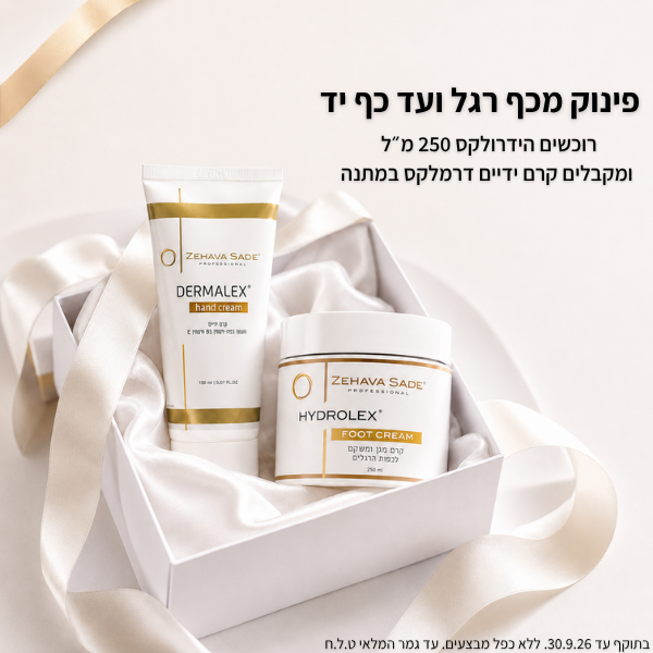 מבצע ספטמ מובייל